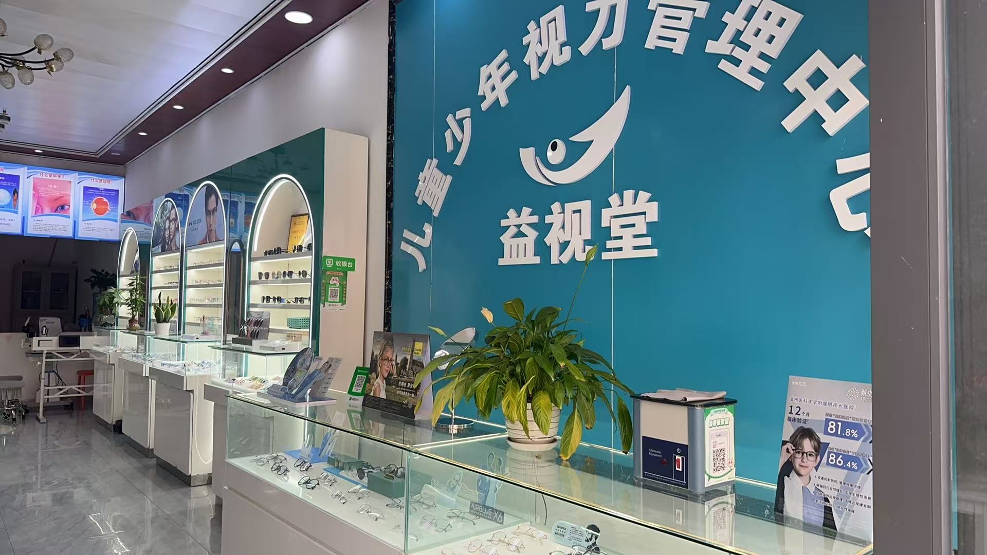 视功能检查
